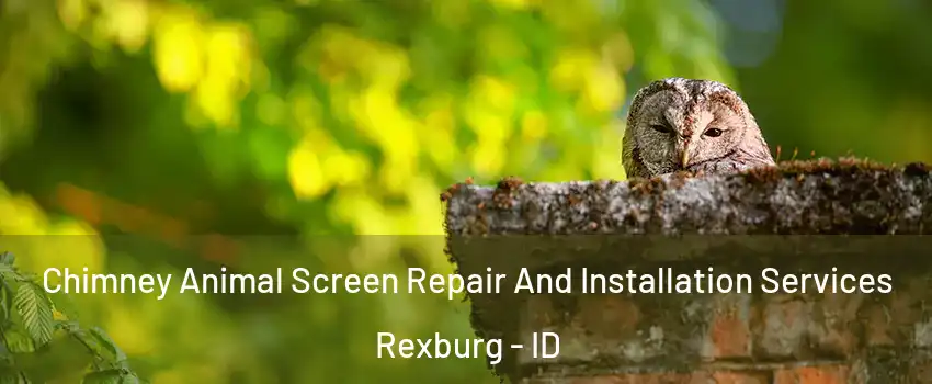  Chimney Animal Screen Repair And Installation Services Rexburg - ID