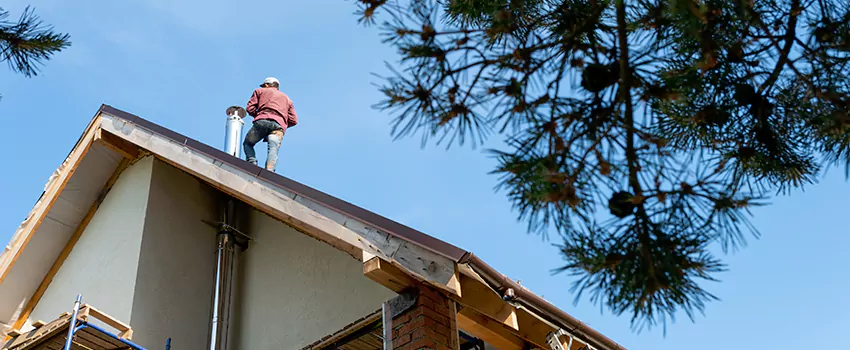 Birds Removal Contractors from Chimney in Rexburg, ID