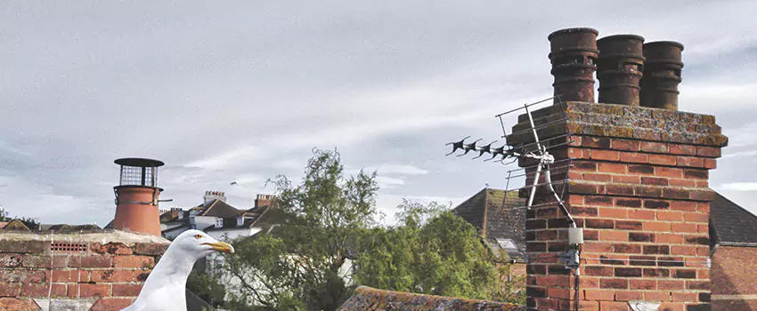 Chimney Cleaning And Restoration in Rexburg, Idaho