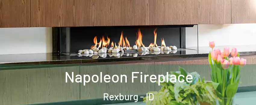  Napoleon Fireplace Rexburg - ID